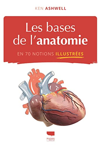 Les bases de l'anatomie